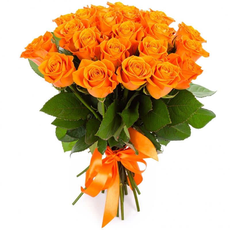 bukiet herbacianych róż